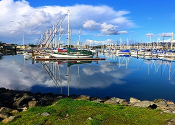 Berk