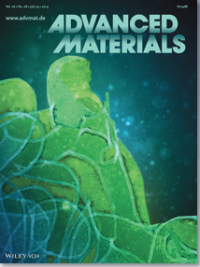nanotubular bulk material