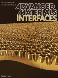 Nanoporous metal array