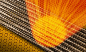 Protein filaments align themselves in parallel in large domains