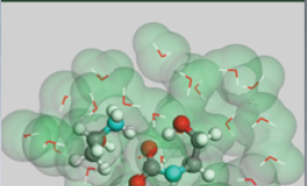 Molecular model