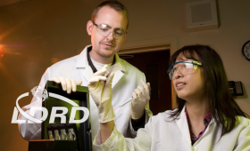 Two scientists examining slide