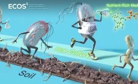 Cartoon of microbes racing along a dirt path