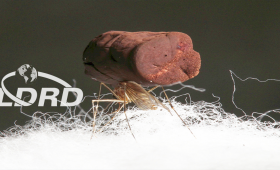 Mosquito carrying metal foam cylinder on its back while standing on cotton