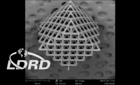 Scanning electron microscopy image of 3D-printed lattice