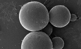 Microbe capsules