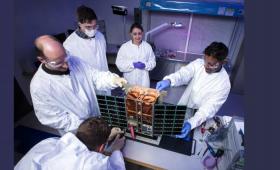 Five scientists work on CubeSat
