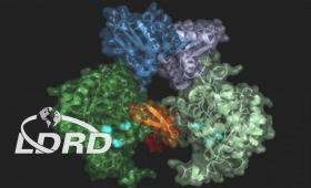 Structure of the sleeping sickness parasite's IMP dehydrogenase.