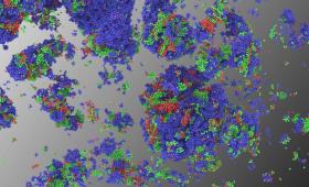 Molecular dynamics simulation of nucleation in undercooled copper