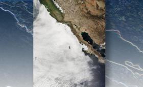 Marine stratocumulus clouds along the California and Baja California coastlines, as revealed by a NASA satellite