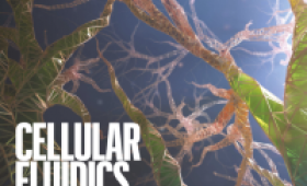 Artificial vasculature with tree-like structure
