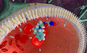 Artist's conception a a small molecule passing through the blood–brain barrier