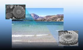 June Lake with two inset photos of diatoms from scanning electron microscopy