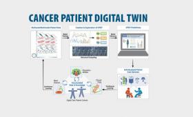 Diagram of virtual representations of cancer patients