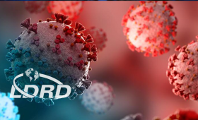 The SARS-CoV-2 virus