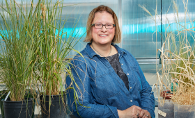 photo of Jennifer Pett-Ridge in greenhouse with grasses