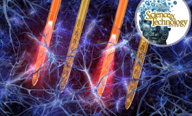 Illustration of four thin needles among mesh of neurons
