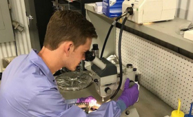 researcher looking through a microscope