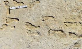 ncient human footprints found in White Sands National Park, New Mexico. Image courtesy of USGS.