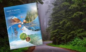 Roads to Removal report pictured with forest background