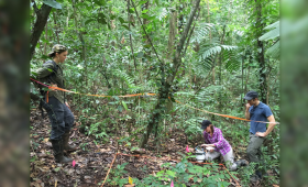 From left, Daniela Cusak, LLNL’s Karis McFarlane and Andy Nottingham take soil samples from a rainforest. 