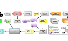 General flowchart of the pipeline for building the Centrifuge reference database based on the BLAST nt database. The pipeline requires several weeks of processing on a high-performance computing server with high-memory-per-core ratio and a high-bandwidth, low-latency parallel filesystem.