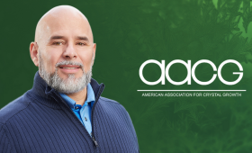 LLNL scientist Luis Zepeda-Ruiz was recognized by the American Association for Crystal Growth for his service to the scientific community.