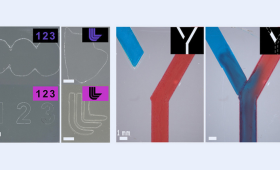 Demonstrations of a new corrective manufacturing technique. In the left panel (a), low resolution printed shapes are shown at top and corrected shapes are shown at bottom. In the right panel (b), hybrid manufacturing is used to correct a gap in a fluidic structure.