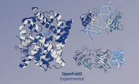 ElMerFold researchers produced high-quality 3D structure predictions for more than 41 million proteins — at a scale and speed previously thought impossible — using Lawrence Livermore National Laboratory’s El Capitan, the world’s fastest supercomputer. This image shows predictions across different biomolecular complexes by the preview release of OpenFold3, an open-source reproduction of AlphaFold3. 
