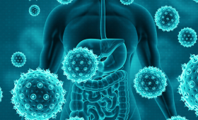 Researchers shed light on how memory T cells, which are crucial for lifelong immunity, live and persist in different parts of the body. 