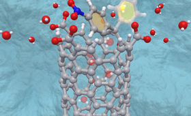 By adding a lid-like structure to a carbon nanotube, LLNL researchers mimicked how biological channels open and close to allow ion transport.