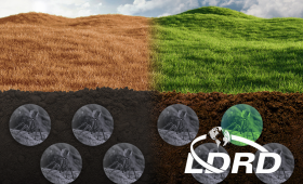 LLNL researchers studied viruses in grassland soil before and after rapid rewetting. Most remained inactive, with only 22 percent of viruses replicating. 