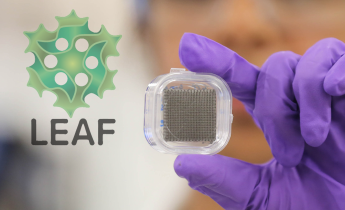 LEAF button with advanced manufactured mesh being help by researcher